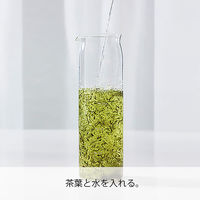 HARIO（ハリオ）水出し 茶ポット 1000ml 1個