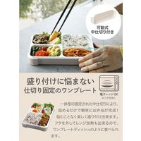 フードマン 抗菌 薄型お弁当箱 600ml グレーベージュ 1段 普通 大人 電子レンジ・食洗機対応 DSK 1個 シービージャパン