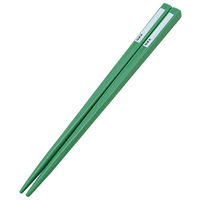 スケーター 子供用 抗菌 スライド式 カトラリー トリオセット（箸+スプーン+フォーク）ディノサウルス ピクチャーブック 恐竜 日本製 食洗機対応 1個