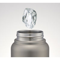 スクリューハンドマグボトル 800ml シルバー 水筒 携帯マグボトル STSC8 1個 スケーター