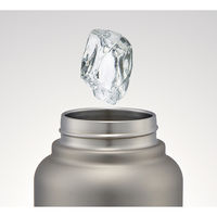 スクリューハンドマグボトル 1000ml シルバー 水筒 携帯マグボトル STSC10 1個 スケーター