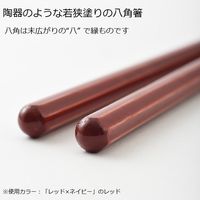 【ギフト】 BRUNO（ブルーノ）ペア HASHI ピンク×ブルー（箸2膳・箸置き2個）化粧箱入り BHK168-PKxBL 1セット