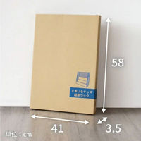 森井紙器工業 すまいるキッズ絵本ラック(ブルー) 1個（直送品）