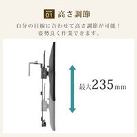 スタープラチナ 快適ワークのモニターアーム PT100 ブラック TVSOFPT100B 1台（直送品）