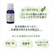 デイリーディライト エッセンシャルオイル 香りの楽しみ広がる精油3本セット 各3mL グローバルプロダクトプランニング
