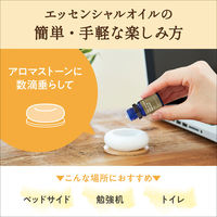 デイリーディライト エッセンシャルオイル 100%天然精油 ラベンダー おだやかな時間に 10mL 1個 グローバルプロダクトプランニング