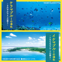 入浴剤 バスロマン 旅する沖縄 バスソルト 4種アソート 1箱（12包入） アース製薬