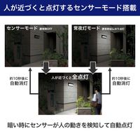 朝日電器 二重構造ウォールライト 大型 ESL-KN400SL 1個