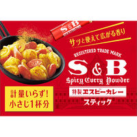 カレー粉スティック 1個 エスビー食品 S＆B