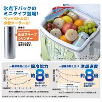 氷点下パックGT-16℃・コンパクト（2pcs） 81660609 LOGOS/ロゴス