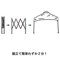 ソーラーブロック Qセットタープ270 71661031 LOGOS/ロゴス