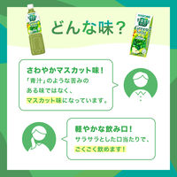 カゴメ 野菜生活100 グリーンサラダ 200ml 1セット（48本）