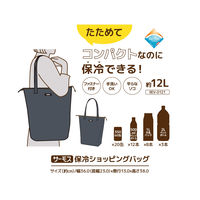 サーモス 保冷ショッピングバッグ 12L ナイトグレー REV-0121 N-GY1個