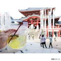 カウパック スタンド袋 TP-T0300 00431060 1ケース(500個(50個×10))（直送品）