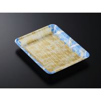 中央化学 発泡トレー CN 20-25FF 四織B内 349530 1ケース(900個(100個×9))（直送品）