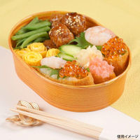 中央化学 弁当容器 ペーパーコップ K9161C わっぱ柄 813907 1ケース(600個(100個×6))（直送品）