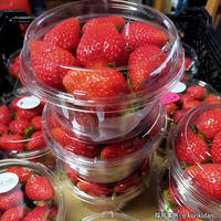 中央化学 透明カップ C-AP 丸カップ 129-430 本体 370205 1ケース(1200個(50個×24))（直送品）