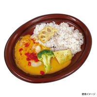 中央化学 惣菜容器 TP ボレノ M20-16 赤茶 身 17525 1ケース(600個(50個×12))（直送品）