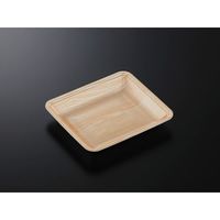 中央化学 発泡トレー CN 20-17FF 木曽内 (L) 228742 1ケース(1500個(100個×15))（直送品）