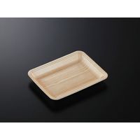 中央化学 発泡トレー CN 20-15E 木曽内 (L) 225631 1袋(100個)（直送品）