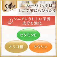 シーバ リッチ キャットフード 猫 18歳以上 3種のセレクション 鶏ささみと海のアソート（35g×6袋入）1個 パウチ ウェット