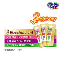 銀のスプーン 総合栄養食 とろリッチ 3種お魚味アソート 国産 108g 猫用 ウェット