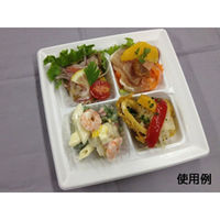 中央化学 軽食容器 CT 沙楽 KS18-18-A W 身 211508 1袋(50個)（直送品）