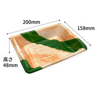 中央化学 刺身容器 ほなみ 20-16 笹木肌 身-1 946335 1ケース(800個(50個×16))（直送品）