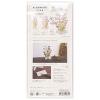 グリーティングライフ ブルーミングカード スイートピー KE-37 1個