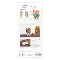 グリーティングライフ ブルーミングカード チューリップ KE-36 1個