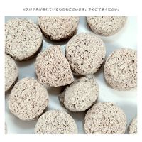 リーフ バイオろ過ボール 1L 930825 1個（直送品）