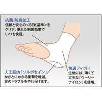 三進興産 ソルボかかとくんサポータータイプ 片足 ベージュ L dp00127 1個（直送品）