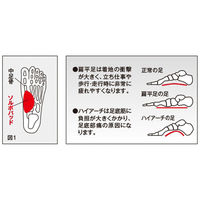 三進興産 ソルボタテアーチ シームレスサポーター dp00172 1個（直送品）