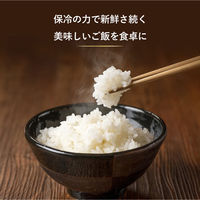 【アウトレット】サイエルインターナショナル 保冷米びつ ライスクーラー31kg SLI-RC31 1台