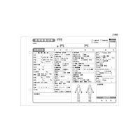 訪問看護　訪問看護記録 A5サイズ 2P×50組 SA-2N 1袋（10冊入）