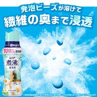 レノア 超消臭 煮沸レベル消臭 抗菌ビーズ 部屋干し 花とおひさまの香り 本体 420mL 1個 抗菌 P＆G