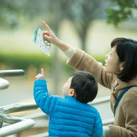 おもちゃ ラボクリップ ビンゴカード おさんぽビンゴ だいとかい OE-SA-0025