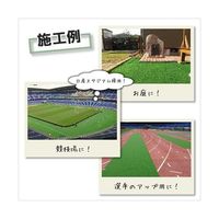 アズワン 人工芝ボルスターフ 防炎タイプ 67-4601-70 1本（直送品）