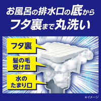 強力カビハイター 排水口そうじこれだけ 大容量 1箱（6袋入） 花王