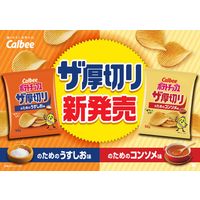 ポテトチップス ザ厚切りのためのうすしお味 1セット（1袋×12） カルビー スナック菓子 おつまみ