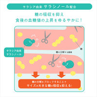 【アウトレット】再値下げ ナップルサラシア粒ナチュラル 60粒1袋 ロート製薬