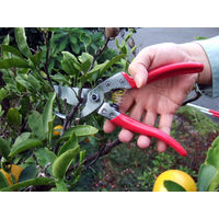 アルスコーポレーション 剪定鋏 VS-9Z 1個