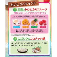 フルグラ トロピカルココナッツ 600g 1袋 カルビー グラノーラ