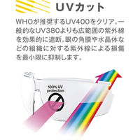 UVEX 一眼型 保護メガネ X-9174 1個
