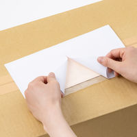 【デリバリーパック】アスクル 現場のチカラ デリバリーパックポケットタイプ 長3用 1セット（1袋（25枚入）×4） オリジナル