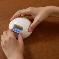 ベープマットセット 1個（30枚入） 蚊取り器 フマキラー