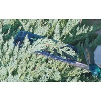 エスコ DC18.0V/300mm 植木バリカン(充電式) EA898GB-31 1台（直送品）