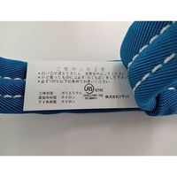 エスコ 48mmx1.0m/1.6ton ベルトスリング(ナイロン・ソフト) EA981RC-1A 1本（直送品）