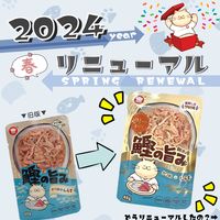 朝市場 猫用 鰹の旨みゼリー仕立て かつおとしらす 48g 1セット（1袋×48）F&Bell キャットフード パウチ