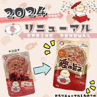 朝市場 猫用 鰹の旨みゼリー仕立て かつお 48g 1セット（1袋×48）F&Bell キャットフード パウチ